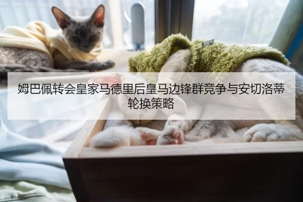 姆巴佩转会皇家马德里后皇马边锋群竞争与安切洛蒂轮换策略